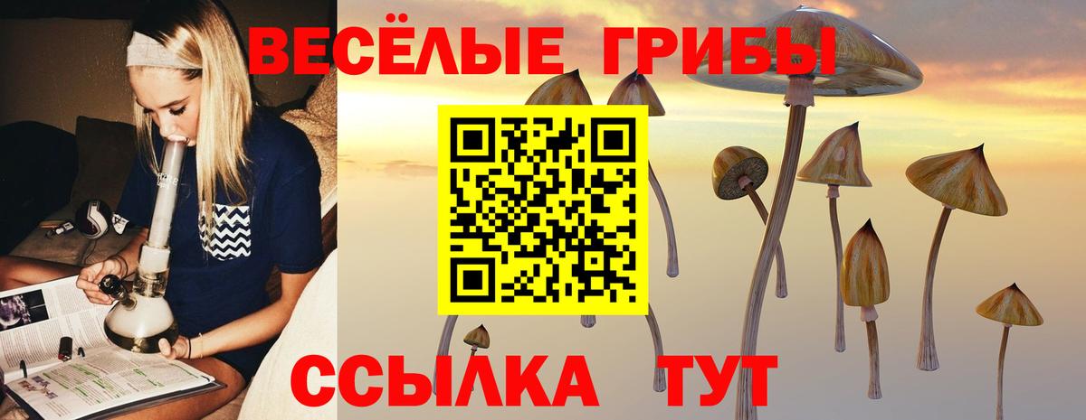Псилоцибиновые грибы MAGIC MUSHROOMS  Псилоцибиновые грибы мухоморы  Елец  Вход с VPN 