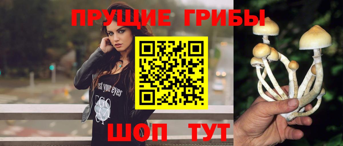 Галлюциногенные грибы GOLDEN TEACHER Елец